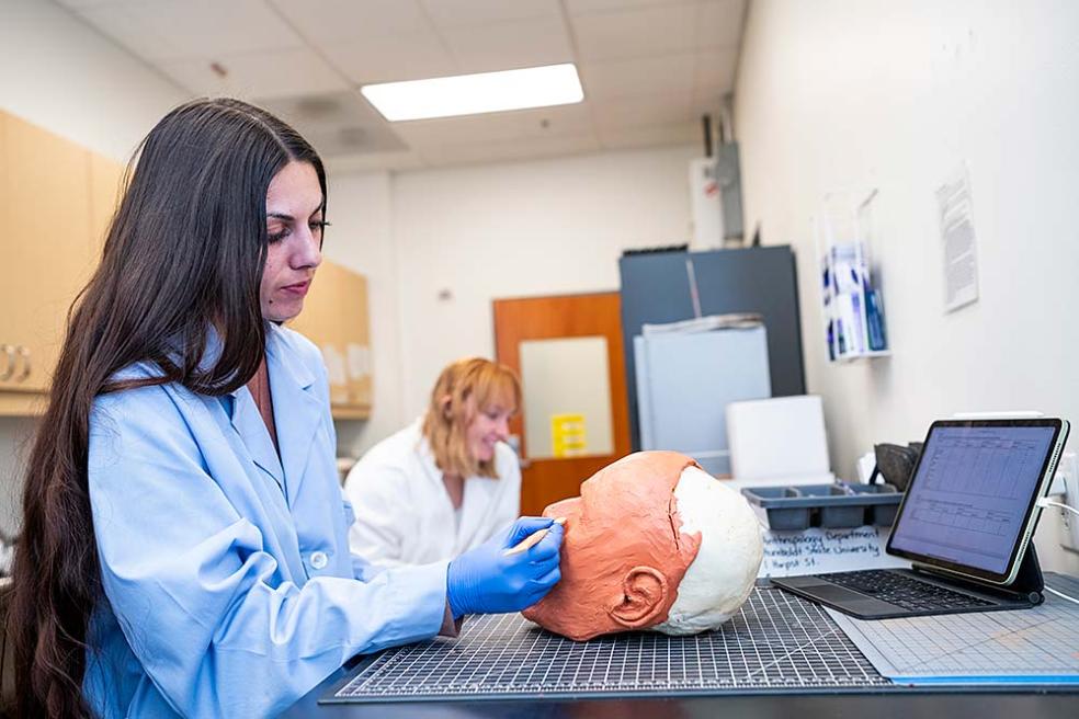 student sculpting clay on cast of skull