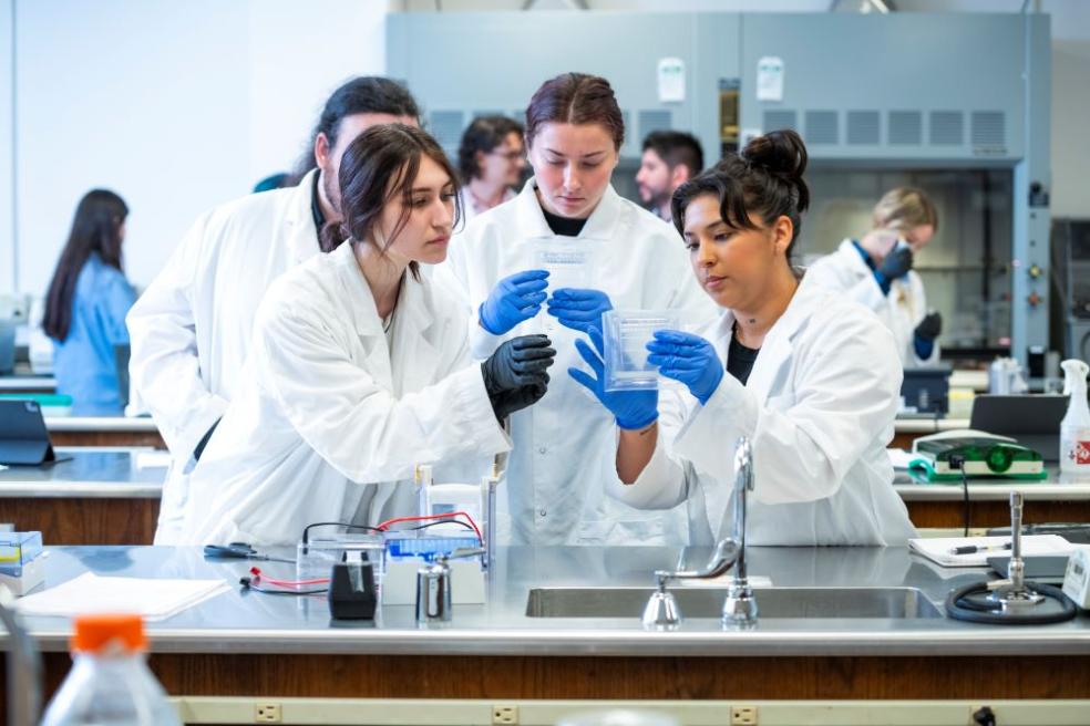 A photo of students in a lab as part of the Humboldt CIRM Bridges Program training. 