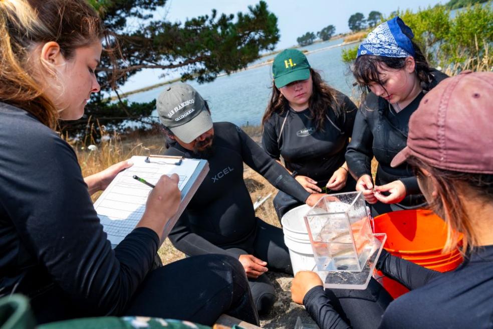 A photo of fisheries Biology grad students research on what otter's eat at the Arcata Marsh.