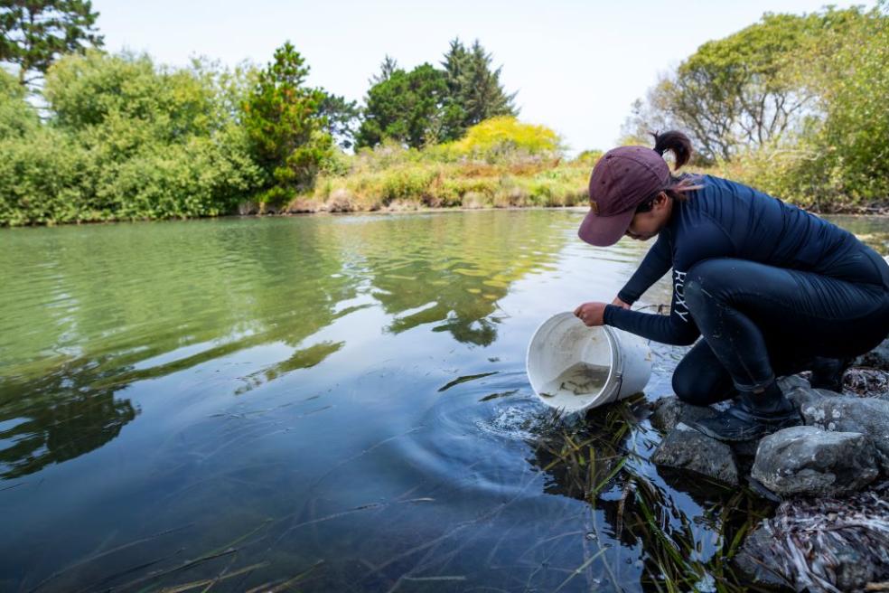 Fisheries Biology grad students research on what otter's eat at the Arcata Marsh.