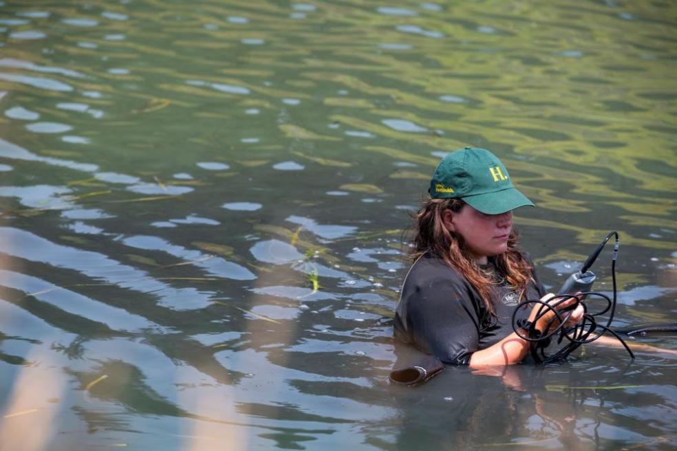 Fisheries Biology grad students research on what otter's eat at the Arcata Marsh.
