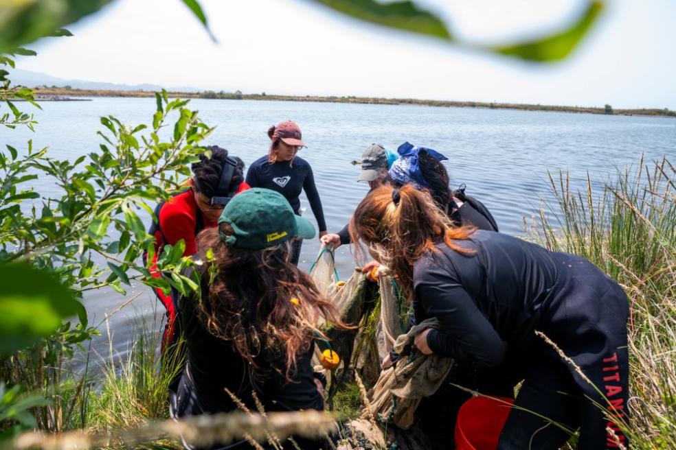 Fisheries Biology grad students research on what otter's eat at the Arcata Marsh.