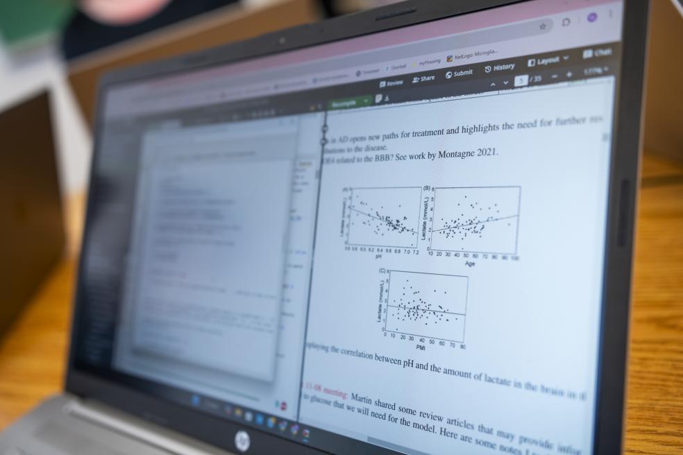 Models can stimulate the immune cells environment, behavior, and response to energy sources. One student is also leading a subproject to develop methods for automatically identifying and classifying microglia from microscope images using machine learning.