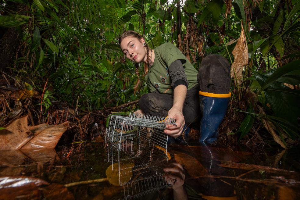 Researchers Trace Origins of Wildlife on the World’s Largest River Island