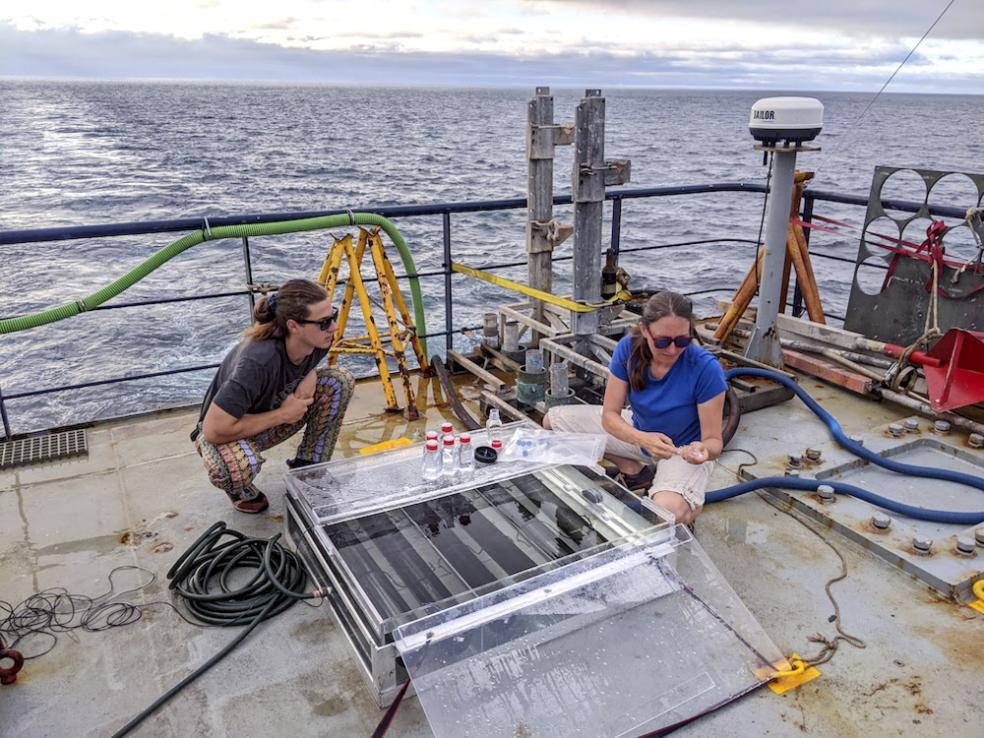 The Humboldt Chemistry Trace Metal Team performed an incubation at sea, adding iron and observing the effect on the phytoplankton. Noah Schuhmann (left) and Claire Till (right) take the first sample of their incubation. Photo credit: Ralph Till.