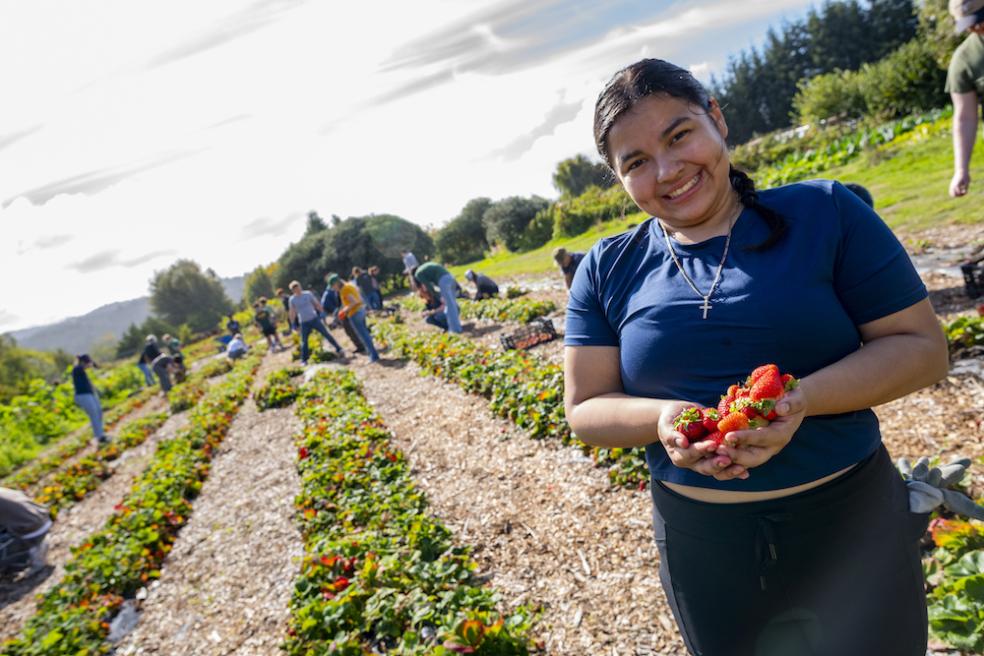 Members of the Cal Poly Humboldt community got their hands dirty for a good cause, volunteering at Potawot Community Garden as part of the Lumberjack Weekend Day of Service.