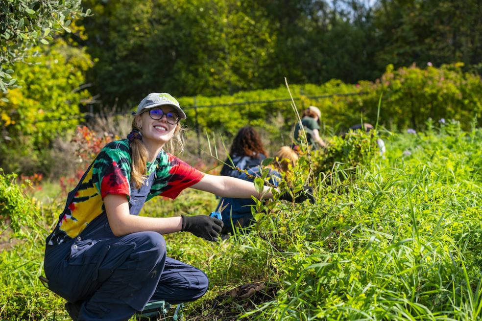 Members of the Cal Poly Humboldt community got their hands dirty for a good cause, volunteering at Potawot Community Garden as part of the Lumberjack Weekend Day of Service.