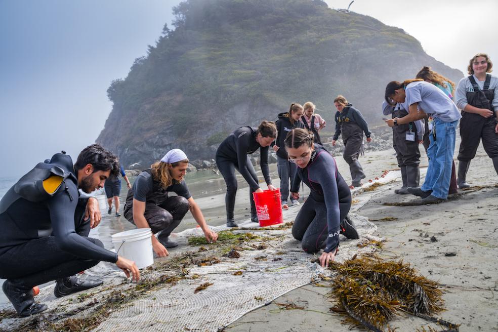 student on the beach sifting through a seine net