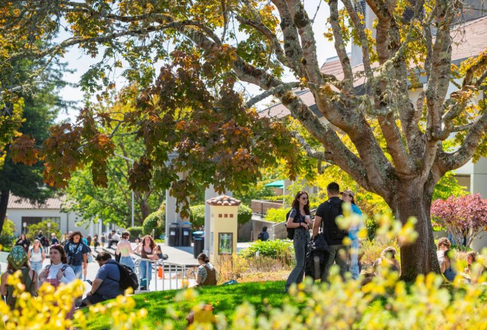 A photo of students near the library. 