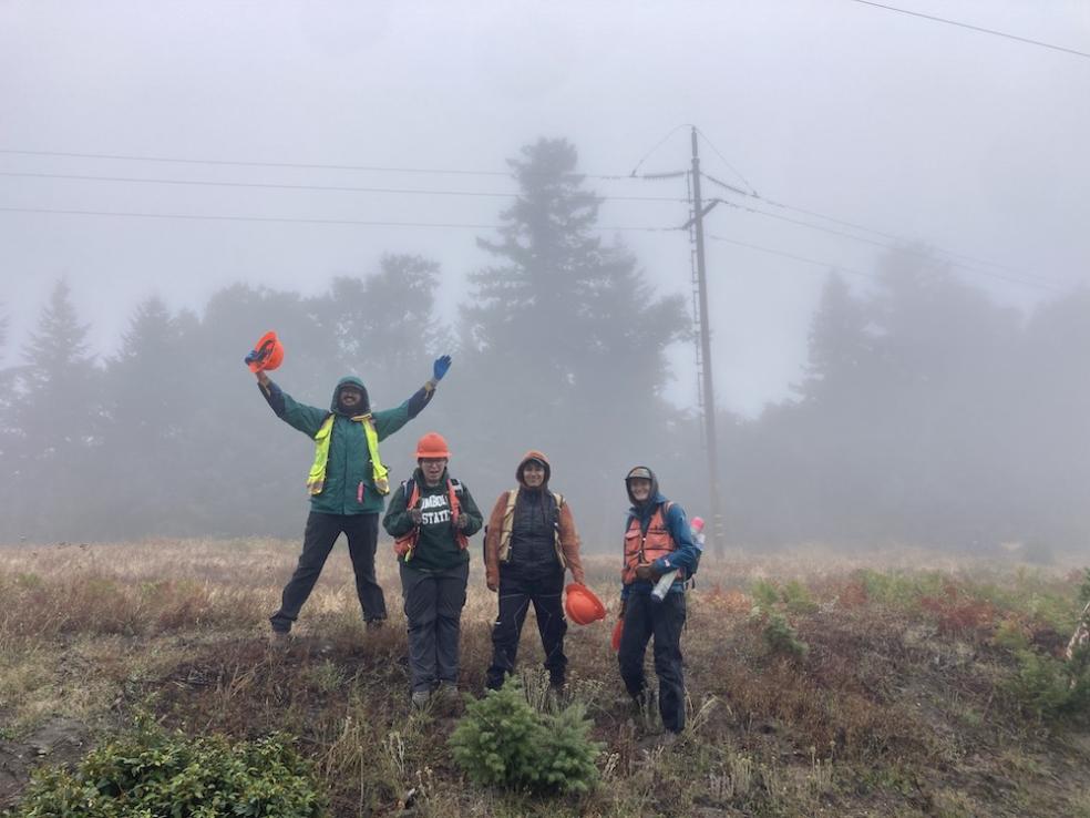 Researchers Identify Key Powerline Risks for Wildfires and Outages