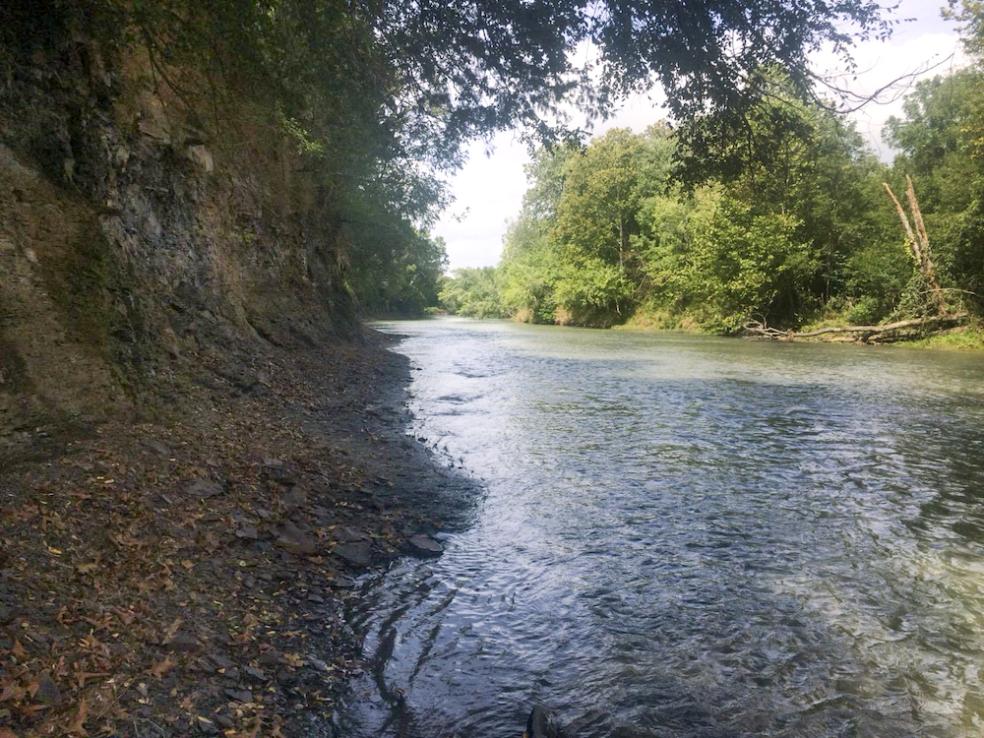 The White River in Arkansas, where most of these fossils are found. Photo by Alan Pradel.