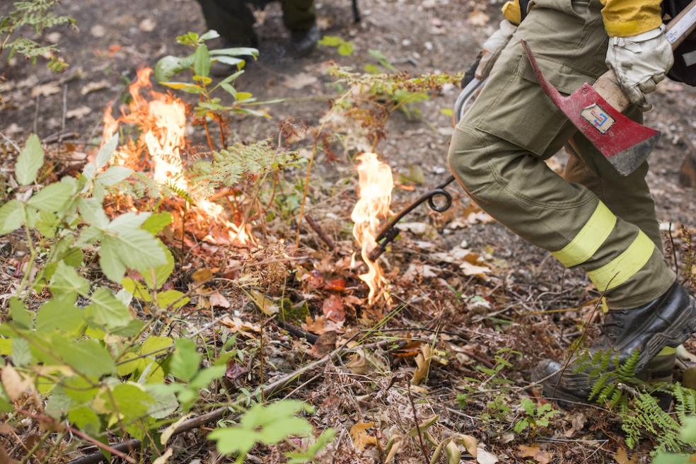 A Student-Led Movement in Cultural Burning, Connecting Land, Knowledge, and Community