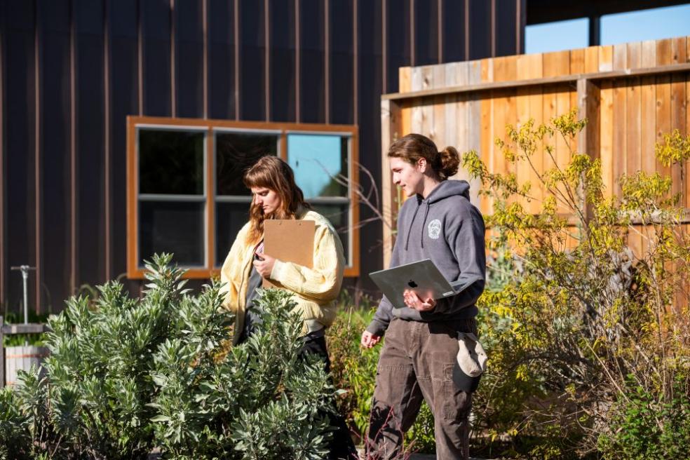 A photo of two students looking at a plant.