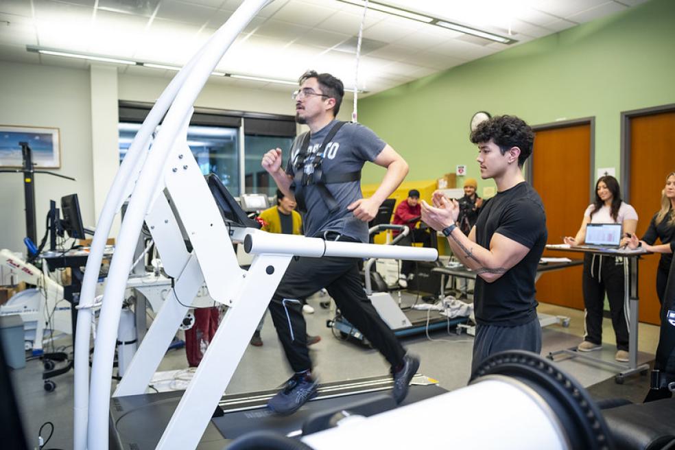 A photo of a student in the Kinesiology Human Performance Lab running on a treadmill wearing a vest that tracks their movement while another student cheers them on. 