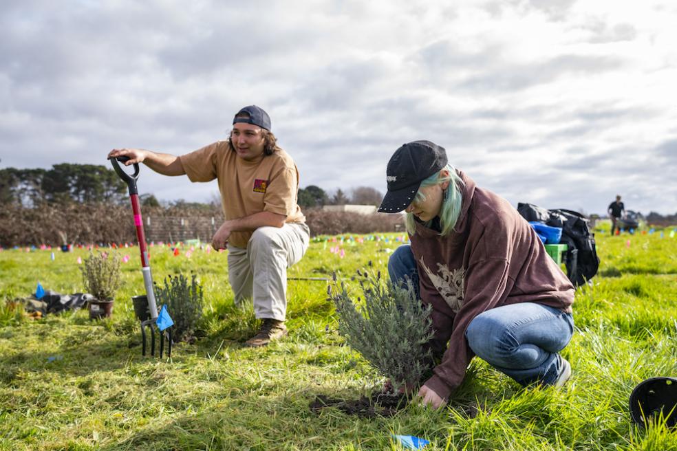 One student holding a shovel and another placing a plant into the ground at the campus farm