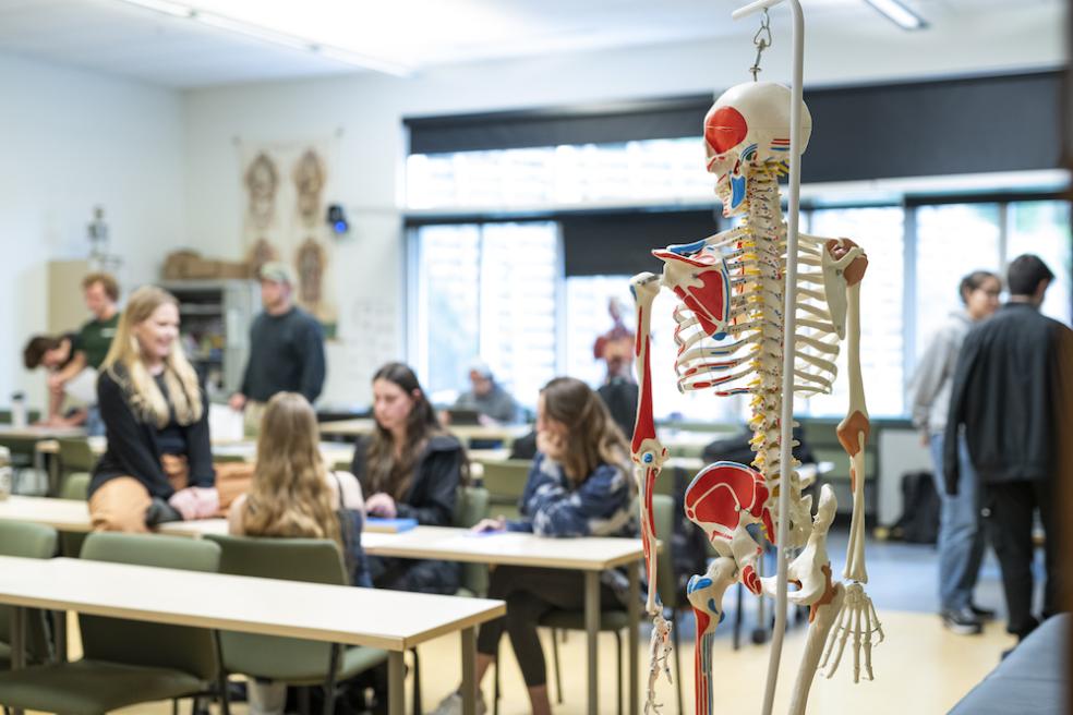 a view of a classroom with a skeleton in the forefront 