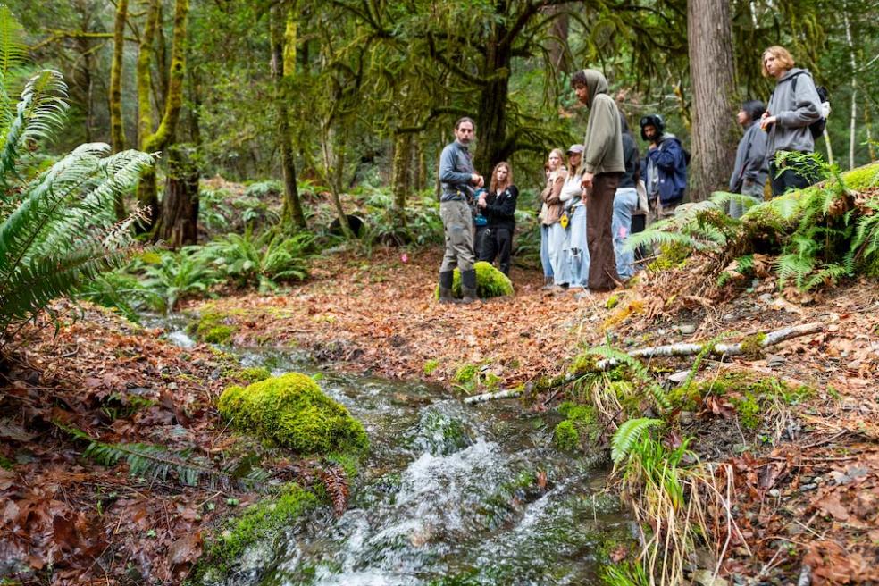 Instructor and students standing beside a creek in the redwood forest 