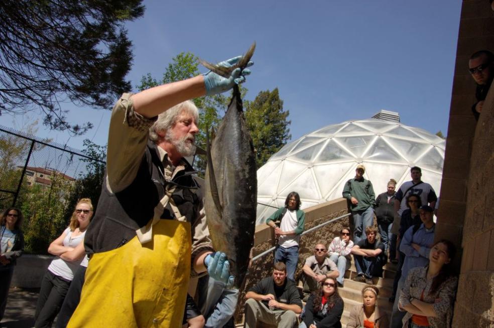 A photo of Fisheries Biology Professor Terry Roelofs holding a tuna fish during a fisheries class.