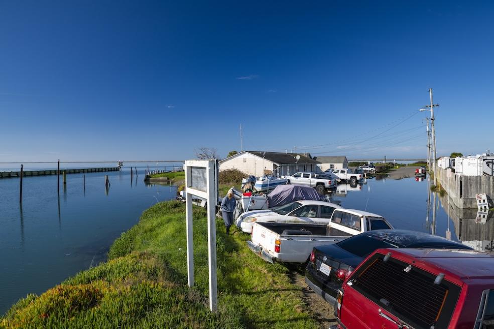 a row of cars in the communiy of King Salmon are partilly submerged during high tide