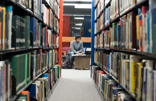a student studies in the HSU library