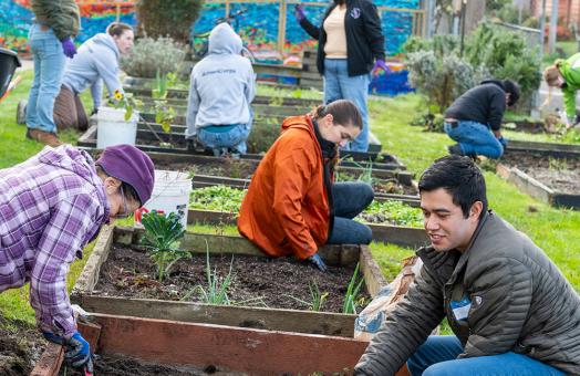 Volunteers tend to garden beds at the Jefferson Community Center on MLK Day of Caring, 2023