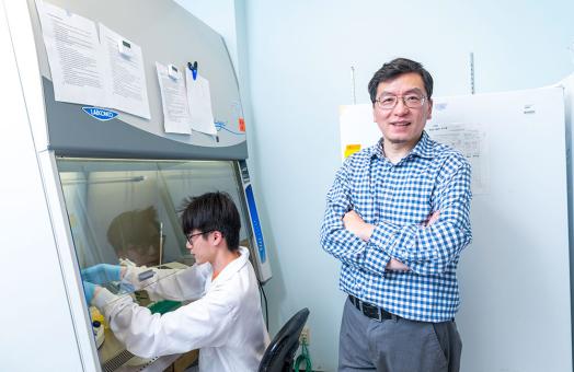 Zhong’s research team includes both undergraduate and graduate students who are investigating the bacteria’s—Rickettsia species phylotype G022—ability to cause disease in animals and eventually humans. 