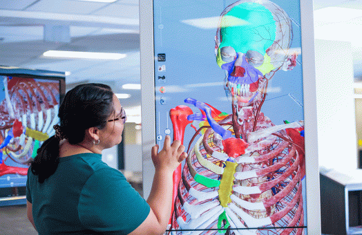 As part of the internship course, Jacky Salas Haro attended Friday workshops, which offered opportunities to hear from and meet healthcare professionals and use the Library’s anatomage table.