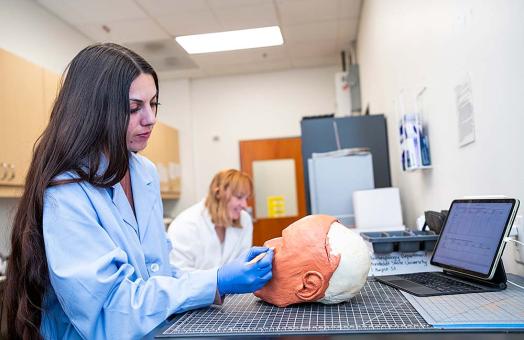student sculpting clay on cast of skull
