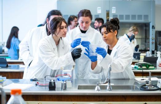 A photo of students in a lab as part of the Humboldt CIRM Bridges Program training. 