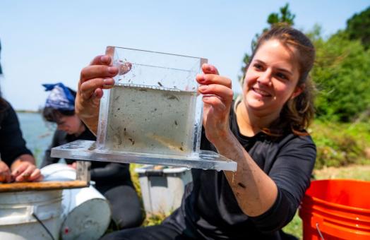 A photo of a Fisheries Biology graduate student holding a small tank filled with water and fishes at the Arcata Marsh for otter research. 