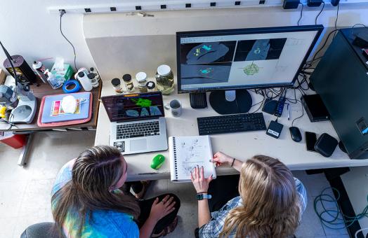 Two student researchers sitting at a desk, one pointing to notes in a notebook, as xray images of a shark ear appear on the computer in front of them