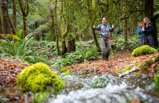 professor Daniel Mar stands next to a creek in the forest with 2 students standing to his right