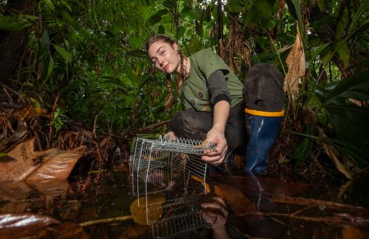 Hannah Wirth (‘24, Biology) conducts field sampling in Marajó during a research excursion in December 2024 and January 2025. Photo by Pedro Peloso. 