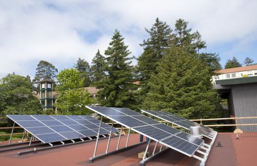 2 rows of solar panel with trees in the background and a clear sky above. 