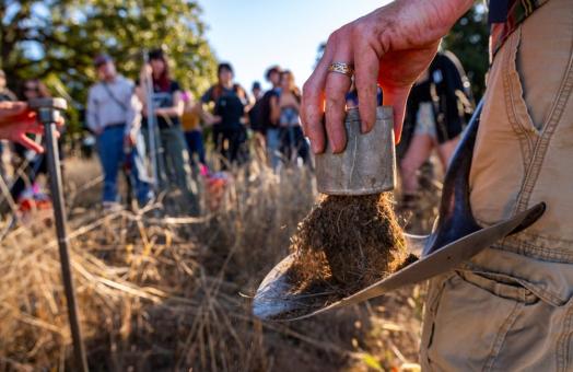A photo of a Rangeland Resource Science field trip to Fickle Hill, in which the class is sifting through soil to analyze. 