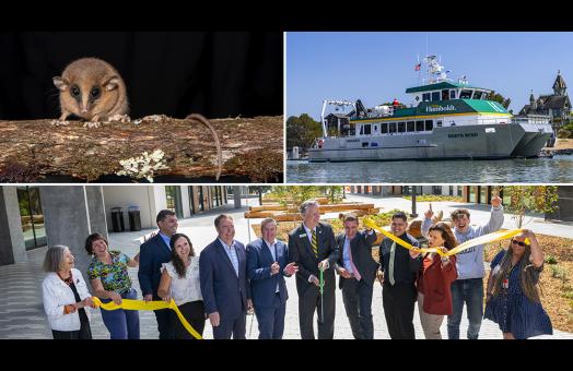 A collage of photos celebrating Cal Poly Humboldt greatest achievements of 2025.