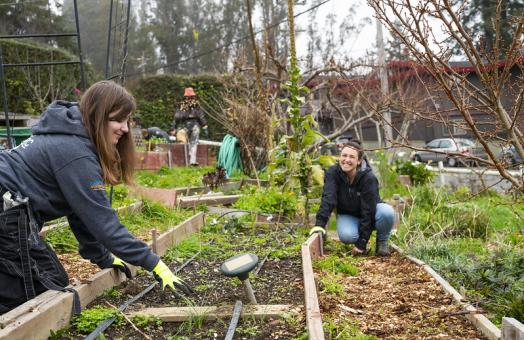 A photo of volunteers gardening at Centro Del Pueblo's Sanctuary Garden. 