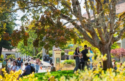 A photo of students near the library. 