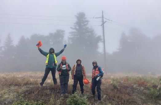 4 researchers standiing in a foggy field with a powerline and trees in the background