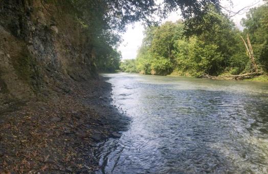 The White River in Arkansas, where most of these fossils are found. Photo by Alan Pradel.