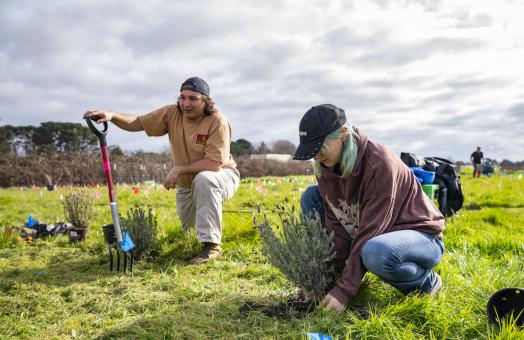 One student holding a shovel and another placing a plant into the ground at the campus farm
