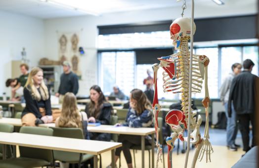 a view of a classroom with a skeleton in the forefront 
