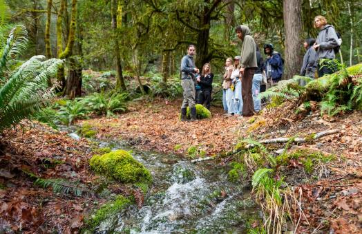Instructor and students standing beside a creek in the redwood forest 
