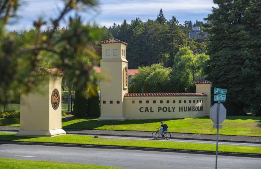 A view of the front gates of the university with greenery all around 