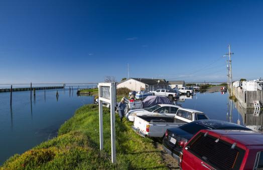 a row of cars in the communiy of King Salmon are partilly submerged during high tide