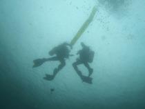 REC 362 students ascending using a surface marker buoy after conducting a navigation practice scuba dive.