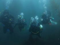 REC 362 students exhibit neutral buoyancy in the giant kelp forest offshore from the Wrigley Institute for Environmental Studies on Catalina Island. 