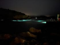 Lights glow from beneath the surface of the water, while REC 362 students conduct their first night dive on Catalina Island. 