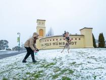 A student throws snowballs for her dog to catch