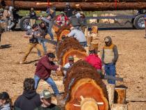 Nearly 170 students from six states traveled to Eureka for the annual Western Forestry Clubs Conclave in March.